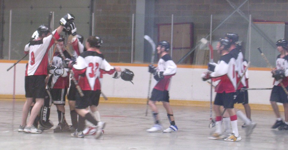 NEW TECUMSETH BALL HOCKEY LEAGUE (NTBHL) powered by GOALLINE.ca